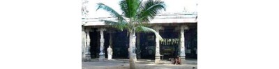 261. திருவான்மியூர்